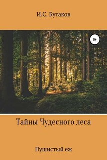 Тайны Чудесного леса. Пушистый ёж