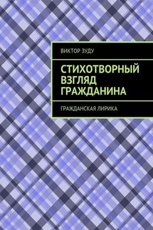 Стихотворный взгляд гражданина. Гражданская лирика