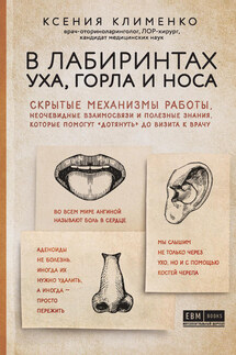 В лабиринтах уха, горла и носа. Скрытые механизмы работы, неочевидные взаимосвязи и полезные знания, которые помогут «дотянуть» до визита к врачу