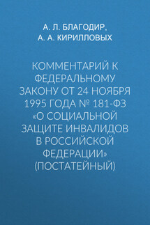 Комментарий к Федеральному закону от 24 ноября 1995 г. № 181-ФЗ «О социальной защите инвалидов в Российской Федерации» (постатейный; издание третье, переработанное и дополненное)