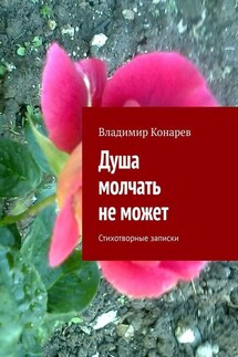 Душа молчать не может. Стихотворные записки