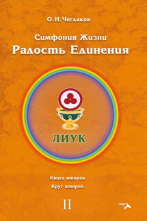 Симфония Жизни. Радость Единения. Книга вторая. Круг второй