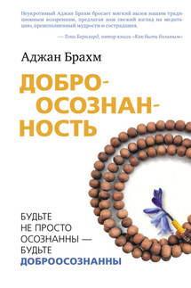 Доброосознанность. Будьте не просто осознанны – будьте доброосознанны