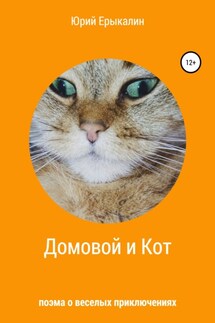 Домовой и Кот