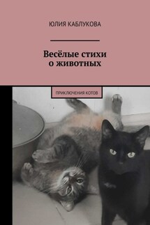 Весёлые стихи о животных. Приключения котов