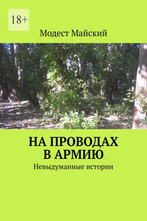 На проводах в армию. Невыдуманные истории