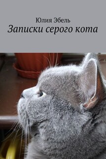 Записки серого кота. Жизнь людей глазами кота