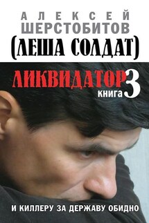 Ликвидатор. Книга 3. И киллеру за державу обидно