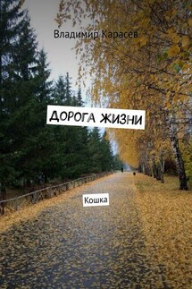 Дорога жизни. Кошка