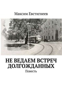 Не ведаем встреч долгожданных. Повесть