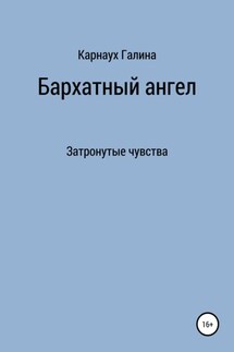 Бархатный ангел. Затронутые чувства