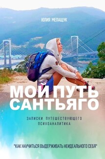 Мой Путь Сантьяго. Записки путешествующего психоаналитика. Как научиться выдерживать неидеального себя