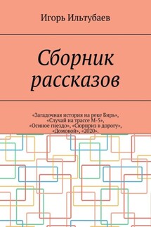 Сборник рассказов. «Загадочная история на реке Бирь», «Случай на трассе М-5», «Осиное гнездо», «Сюрприз в дорогу», «Домовой», «2020»