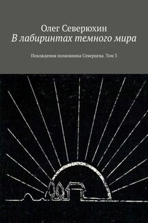 В лабиринтах темного мира. Похождения полковника Северцева. Том 3