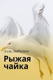 Рыжая чайка