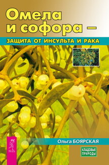 Омела и софора – защита от инсульта и рака