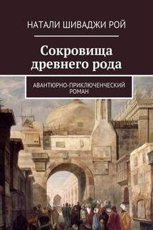 Сокровища древнего рода. Авантюрно-приключенческий роман