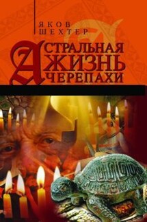 Астральная жизнь черепахи. Наброски эзотерической топографии. Книга первая