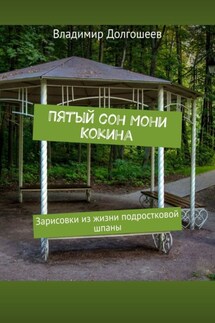 Пятый сон Мони Кокина. Зарисовки из жизни подростковой шпаны