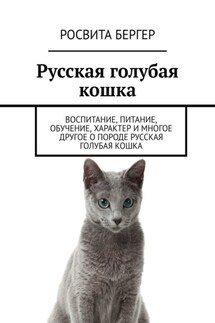 Русская голубая кошка. Воспитание, питание, обучение, характер и многое другое о породе русская голубая кошка