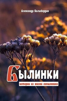 Былинки. Истории из жизни священника