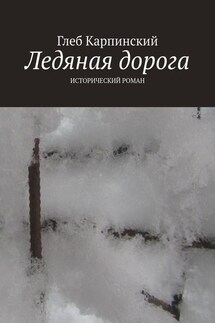 Ледяная дорога. Исторический роман