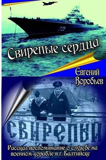 Свирепые сердца. Рассказ-воспоминание о службе на военном корабле в г. Балтийске