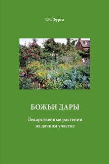 Божьи дары. Лекарственные растения на дачном участке