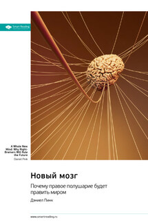 Новый мозг. Почему правое полушарие будет править миром. Дэниел Пинк. Саммари