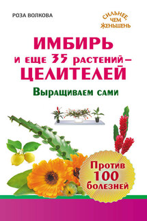 Имбирь и еще 35 растений-целителей. Выращиваем сами. Против 100 болезней