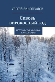 Сквозь високосный год. Поэтические хроники. Книга первая