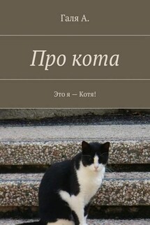 Про кота. Это я – Котя!