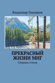 Прекрасный жизни миг. Сборник стихов