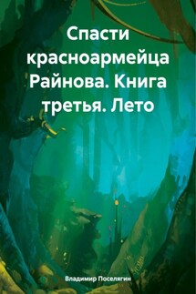 Спасти красноармейца Райнова. Книга третья. Лето