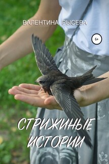 Стрижиные истории