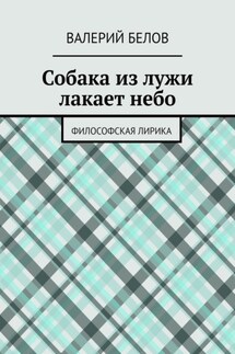 Собака из лужи лакает небо. Философская лирика