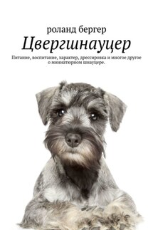 Цвергшнауцер. Питание, воспитание, характер, дрессировка и многое другое о миниатюрном шнауцере