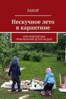 Нескучное лето в карантине. Или невероятные приключения детей на даче