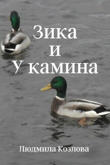 Зика и У камина