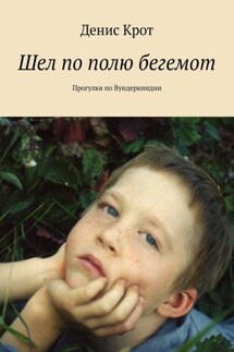 Шел по полю бегемот. Прогулки по Вундеркиндии