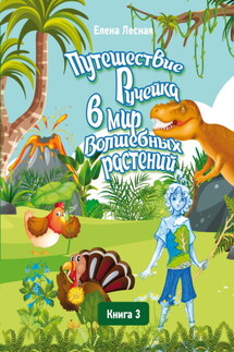 Путешествие Ручейка в мир Волшебных растений. Книга 3. Ручеёк в стране Динландии. Путешествие продолжается