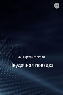 Неудачная поездка