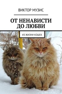 От ненависти до любви. Из жизни кошек