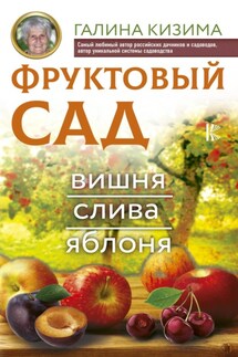 Фруктовый сад. Вишня, слива и яблоня