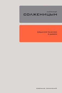 Бодался телёнок с дубом. Очерки литературной жизни