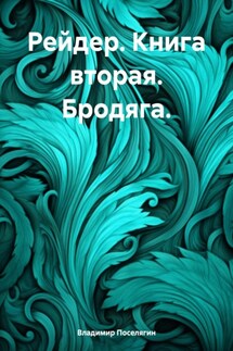 Рейдер. Книга вторая. Бродяга.