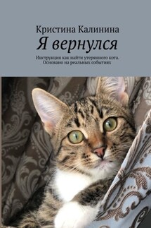 Я вернулся. Инструкция как найти утерянного кота. Основано на реальных событиях