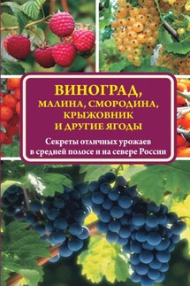 Виноград, малина, смородина, крыжовник и другие ягоды