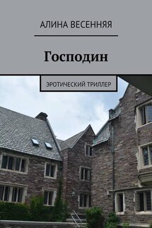 Господин. Эротический триллер