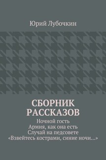 Сборник рассказов. Ночной гость. Армия, как она есть. Случай на педсовете. «Взвейтесь кострами, синие ночи…»